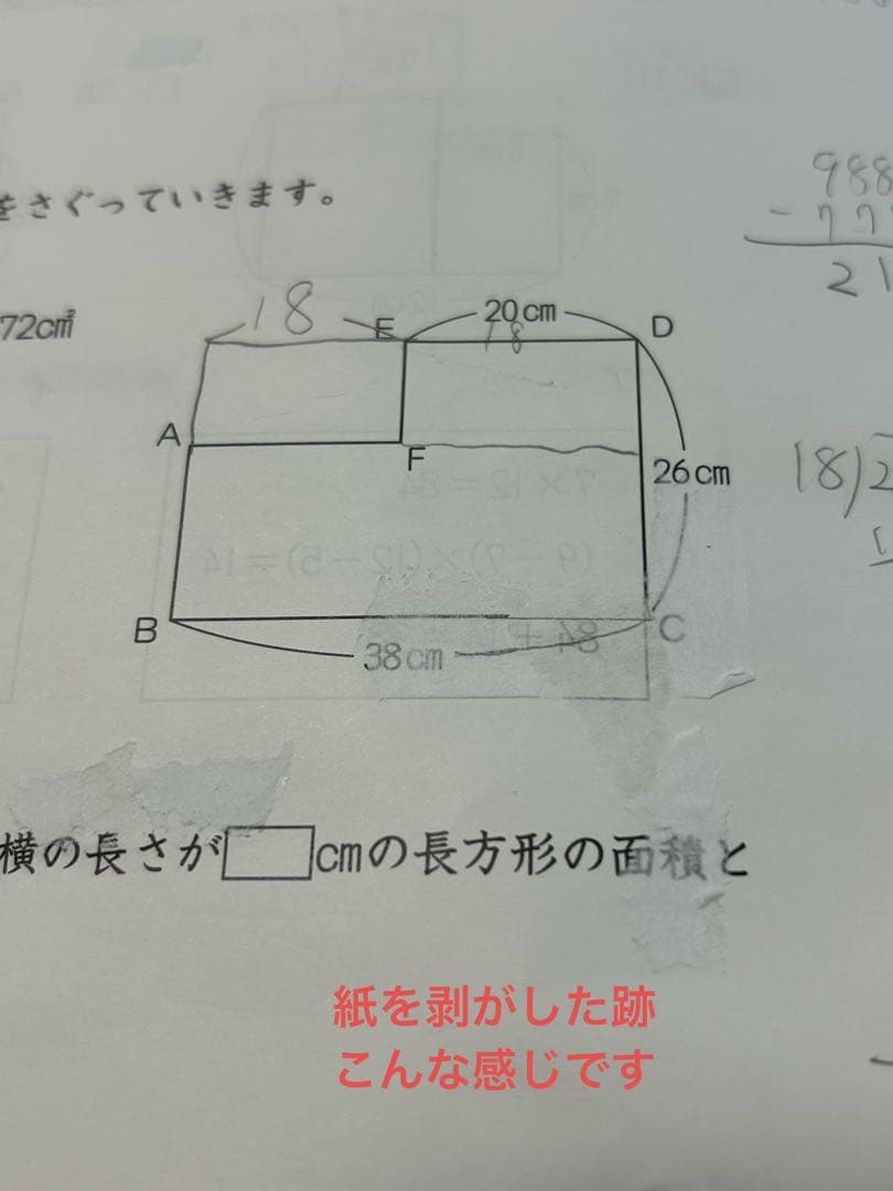 日能研 4年 育成テスト 【前期】2024年
