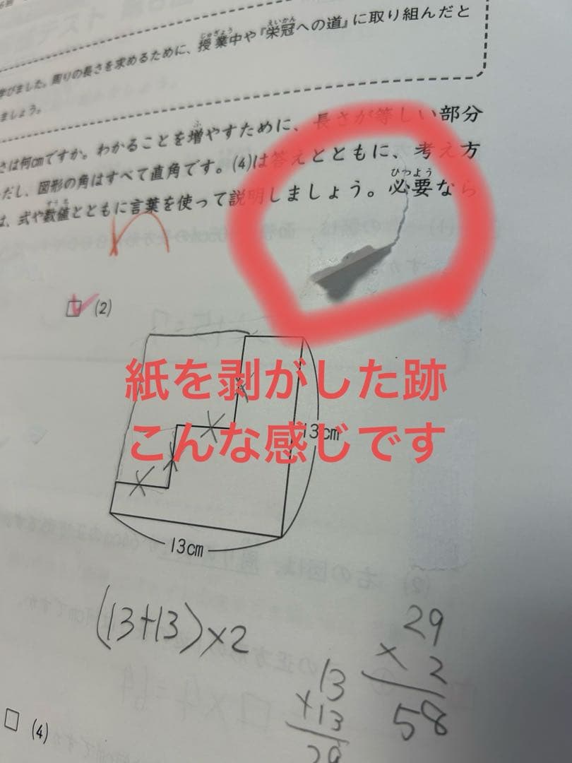 日能研 4年 育成テスト 【前期】2024年