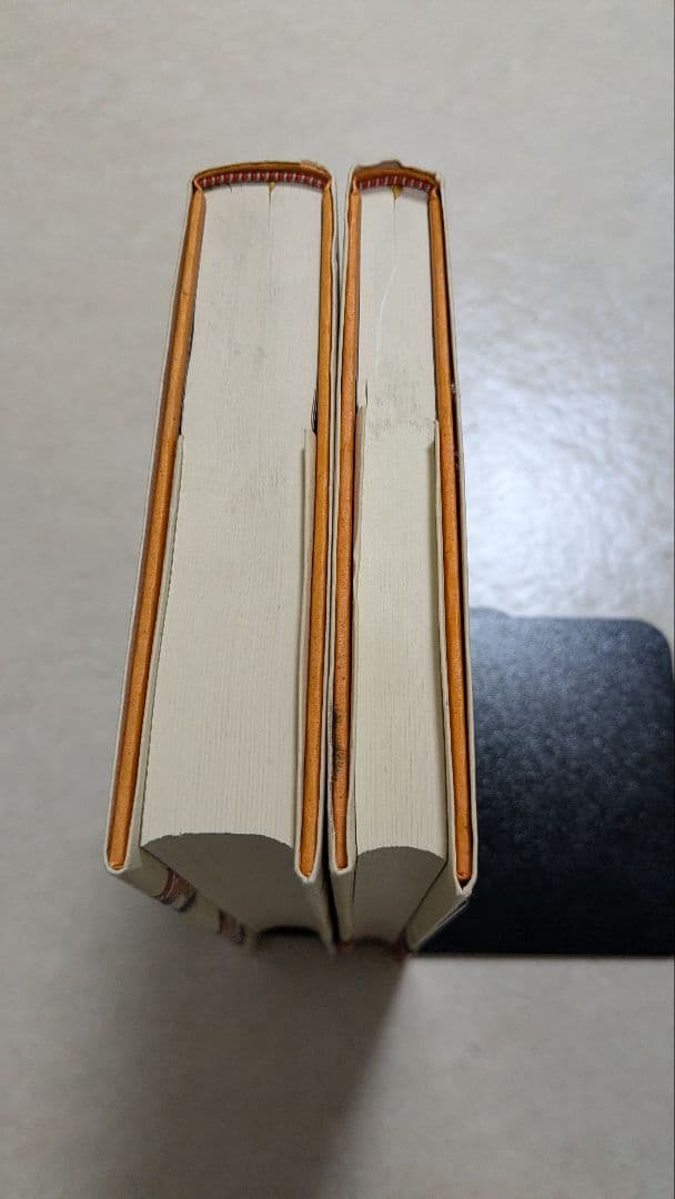 フィネガンズ・ウェイク 　ジェイムズ・ジョイス　柳瀬 尚紀