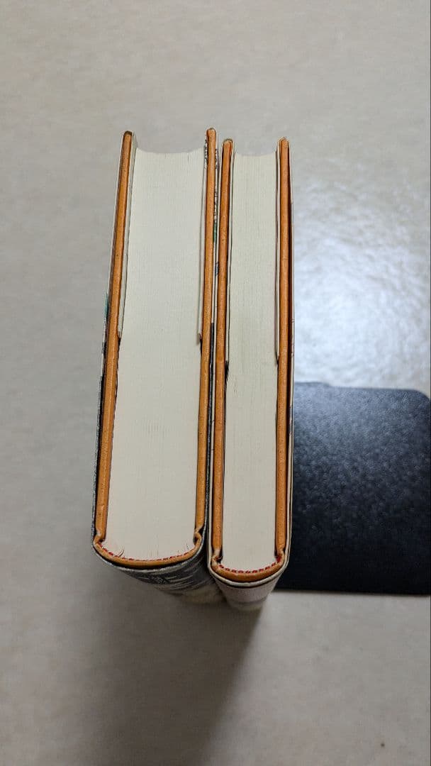 フィネガンズ・ウェイク 　ジェイムズ・ジョイス　柳瀬 尚紀