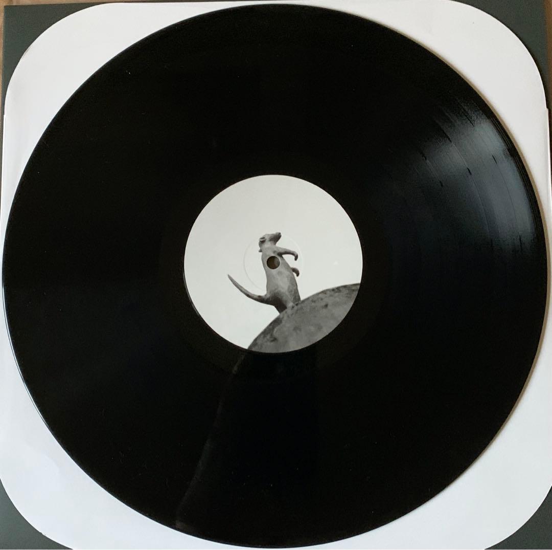 家主　DOOM アナログレコード