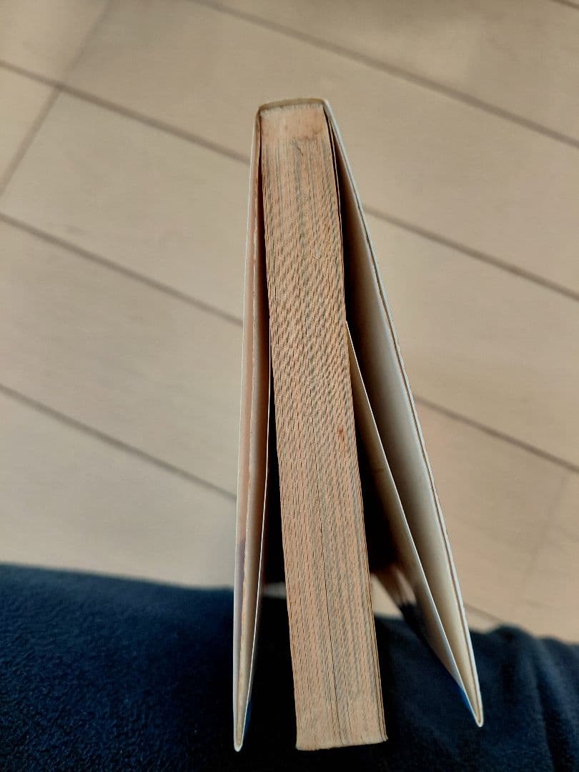 ワンピース10巻　初版