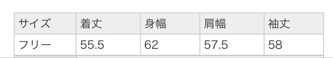 FRAMeWORK フレームワークチャンピオン別注リバースウィーブ