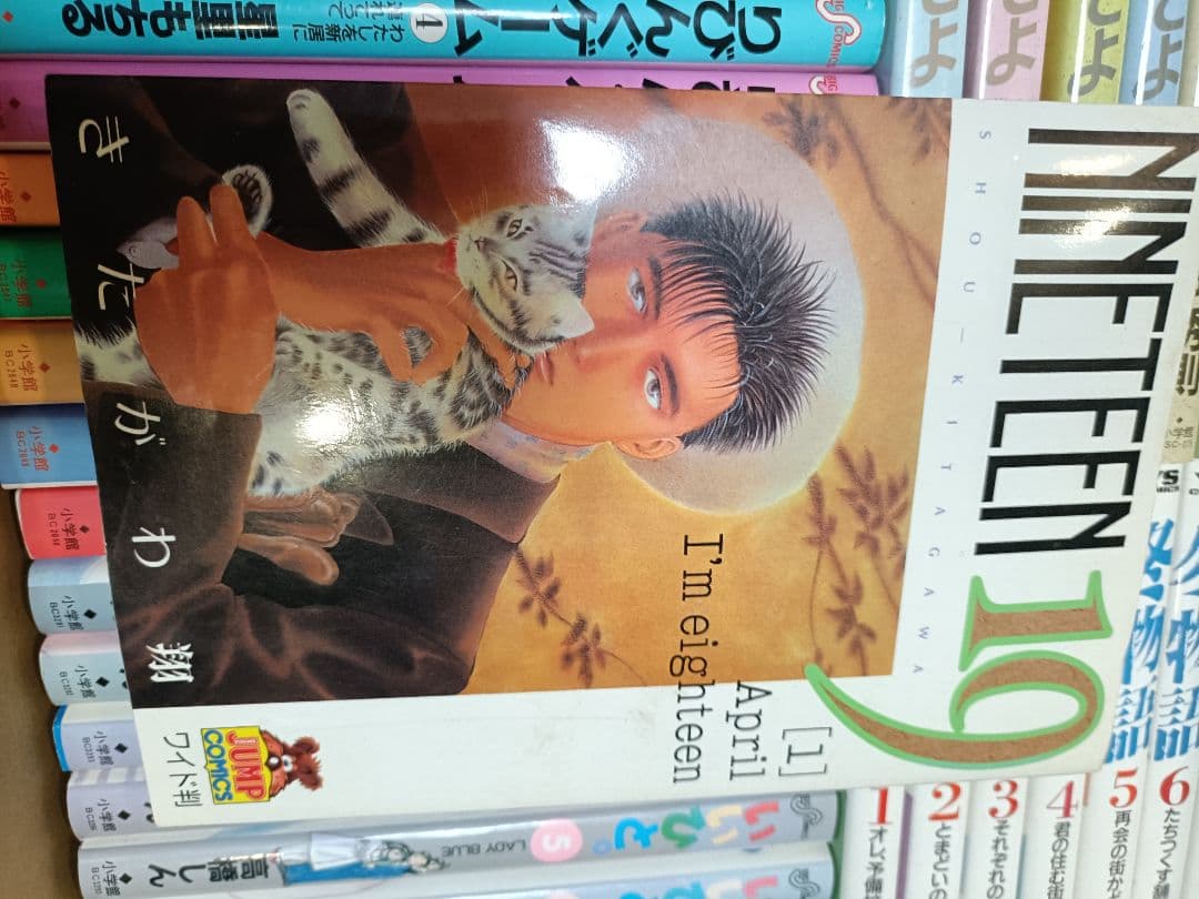 ​名作まとめ売りNINETEEN 19/どっぴかん/りびんぐゲーム他54冊セット