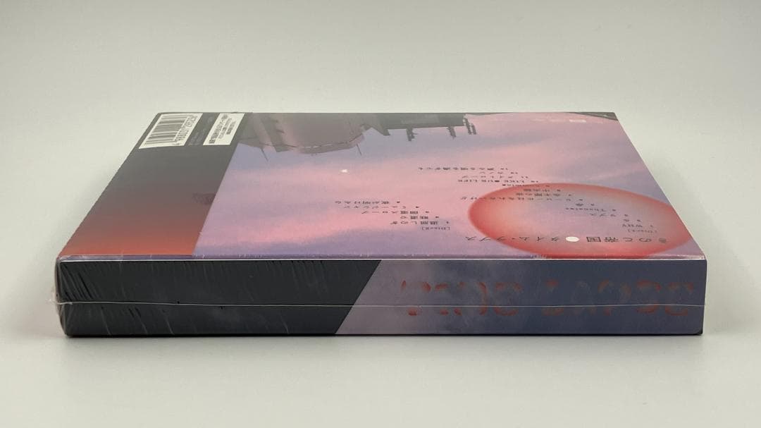 新品未開封 きのこ帝国 タイム・ラプス 初回限定盤 2CD 2018年