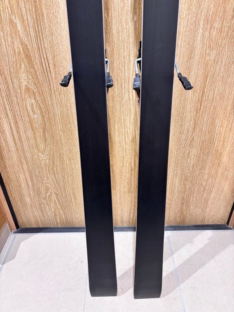 Racetiger GS World Cup Masters 183 スキー