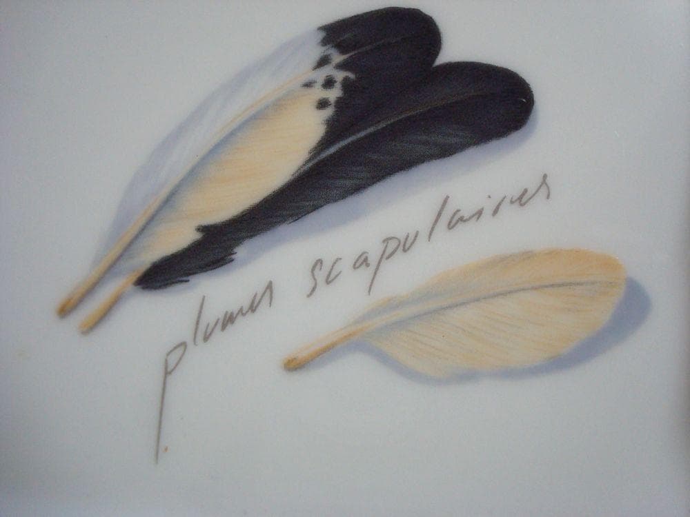 HERMES エルメス　鳥　アッシュトレイ　灰皿