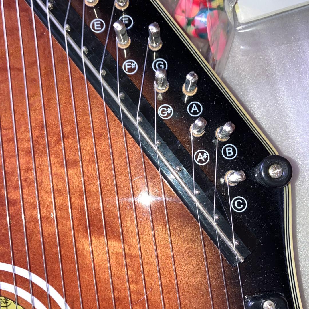 ARIAコードオートハープACH21E