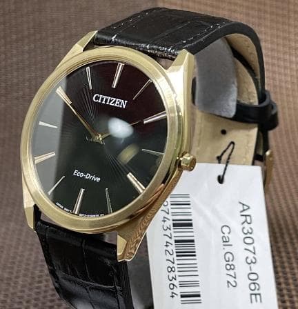 ⭐️専用⭐️ar3073-06e⭐️新品⭐️Citizen エコドライブ時計 メンズ