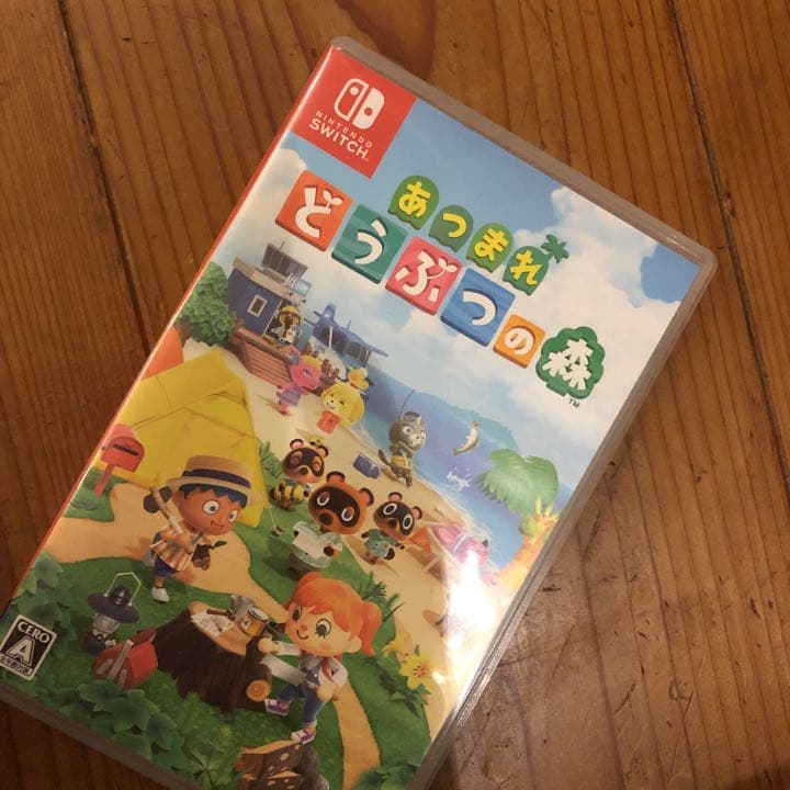 Nintendo Switch LITE グレー　あつ森カセット付き