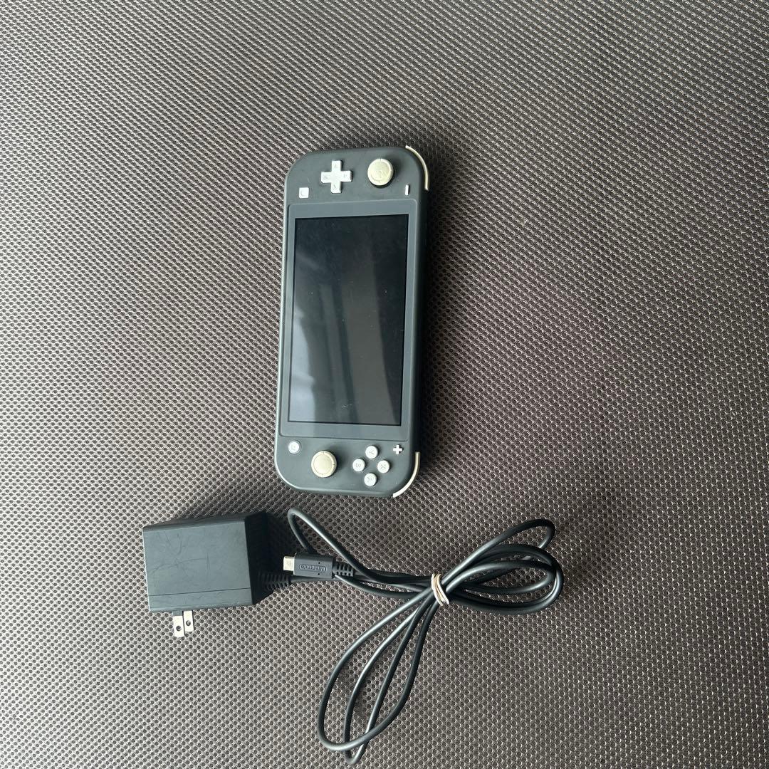 Nintendo Switch Lite グレー　充電器付