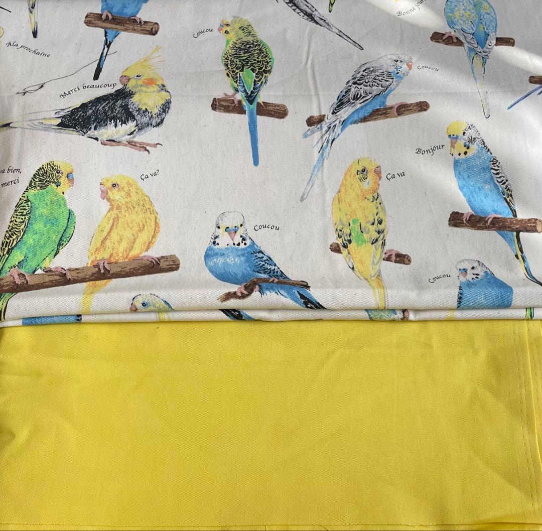 77 インコ　レッスンバック　シューズケース