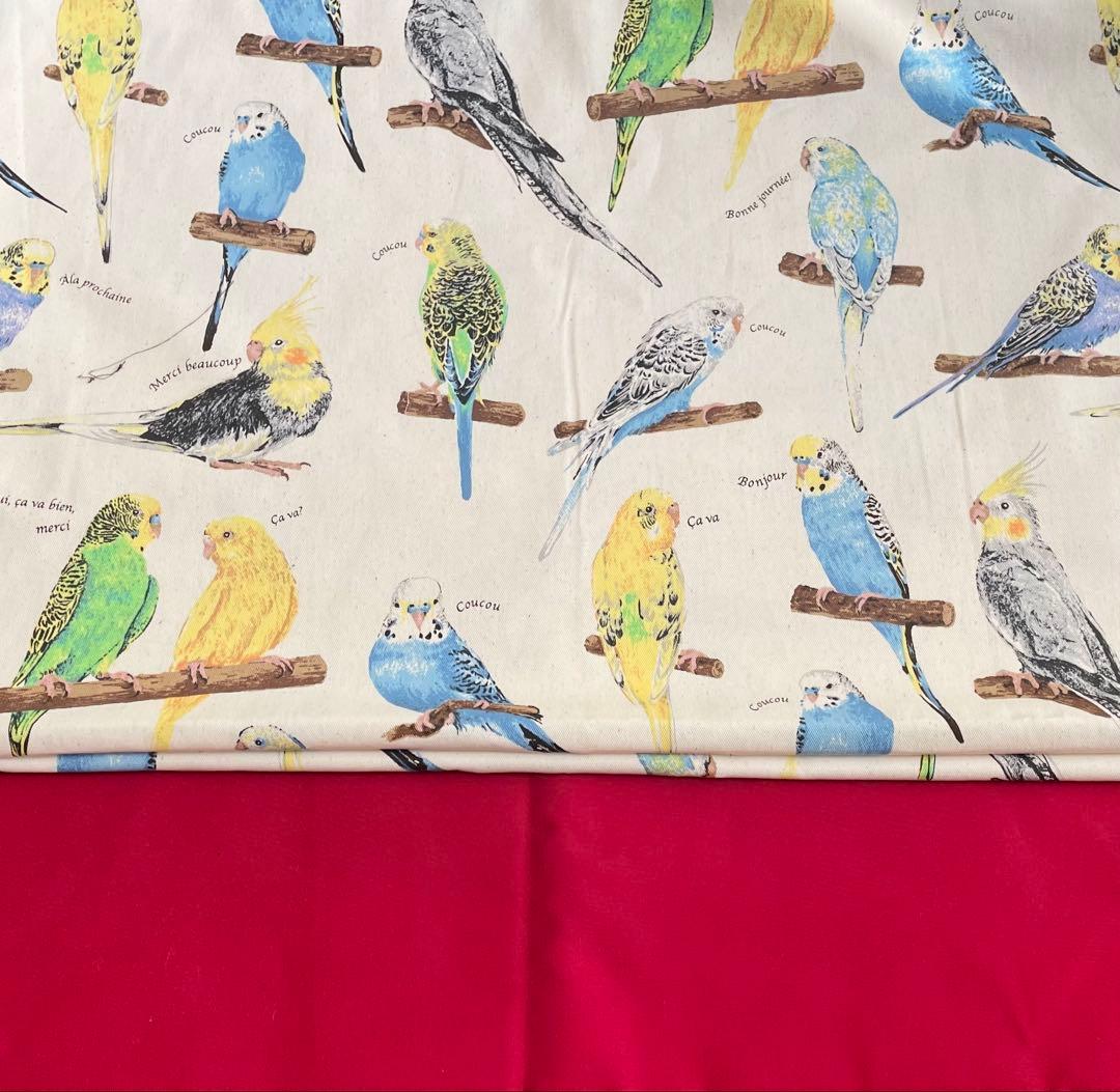 77 インコ　レッスンバック　シューズケース