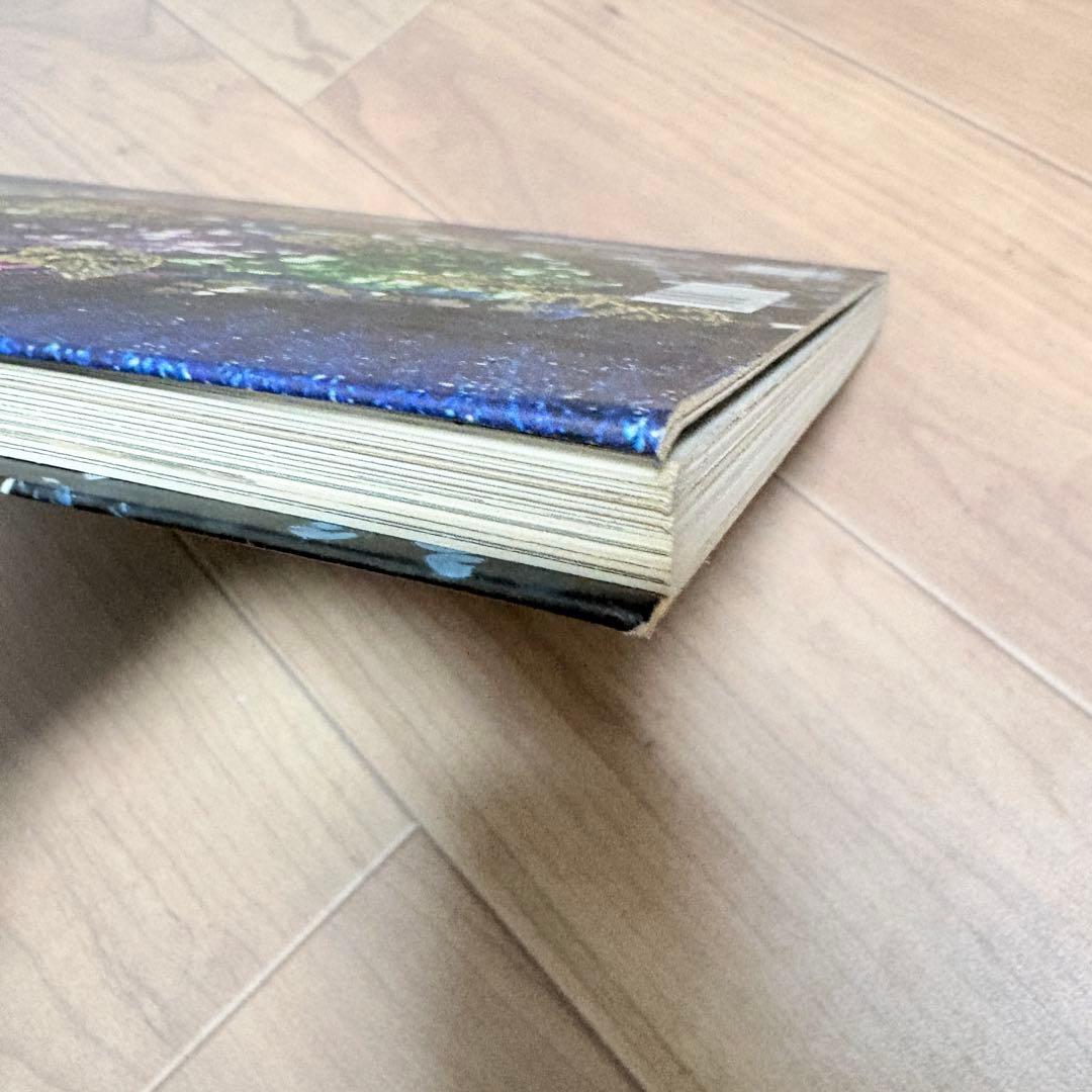 【洋書】Les Brodeurs: Un métier d'art