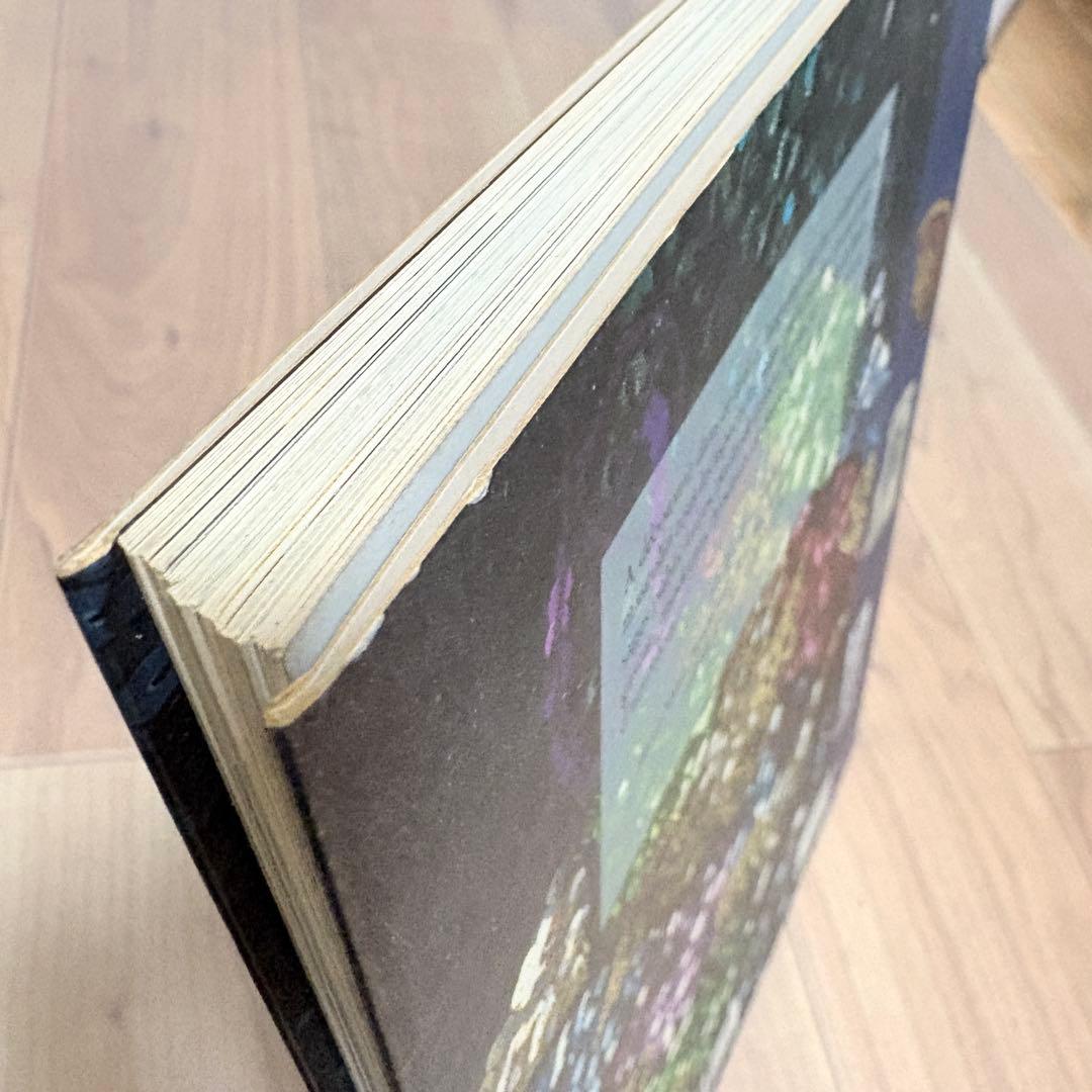 【洋書】Les Brodeurs: Un métier d'art