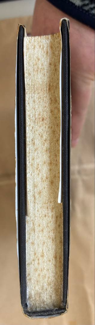 洋書 Fitzgerald and Hemingway