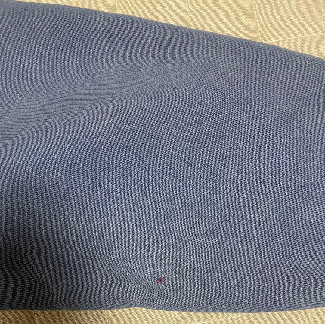 Alexander Wang ウォッシュド　ブルースウェット