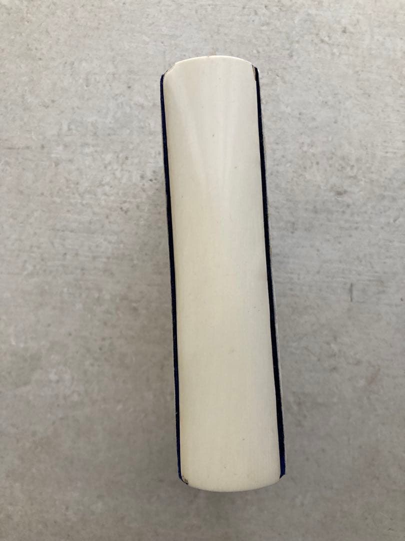 フランスアンティーク　アイボリー聖書　祈祷書　古本　洋書　ミゼル