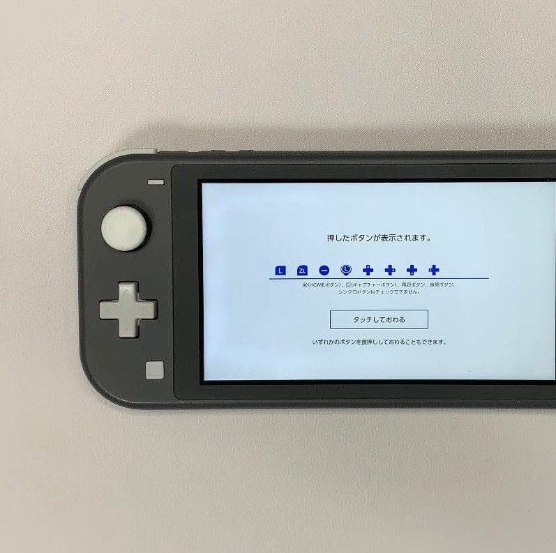 Nintendo Switch Lite 本体 動作品2020