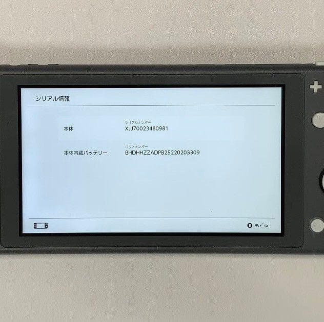 Nintendo Switch Lite 本体 動作品2020