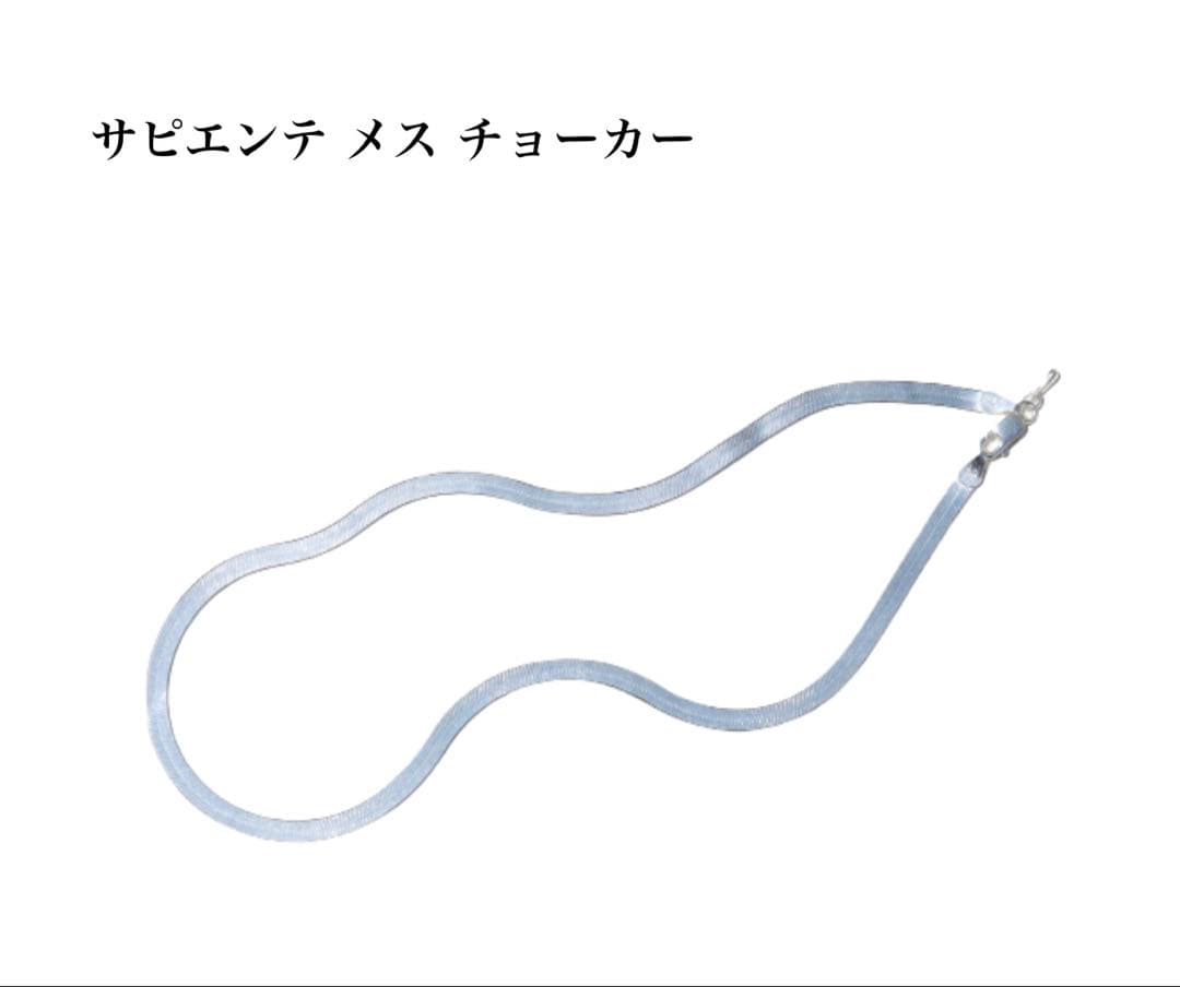 プリュイ　サピエンテメスチョーカー　シルバー