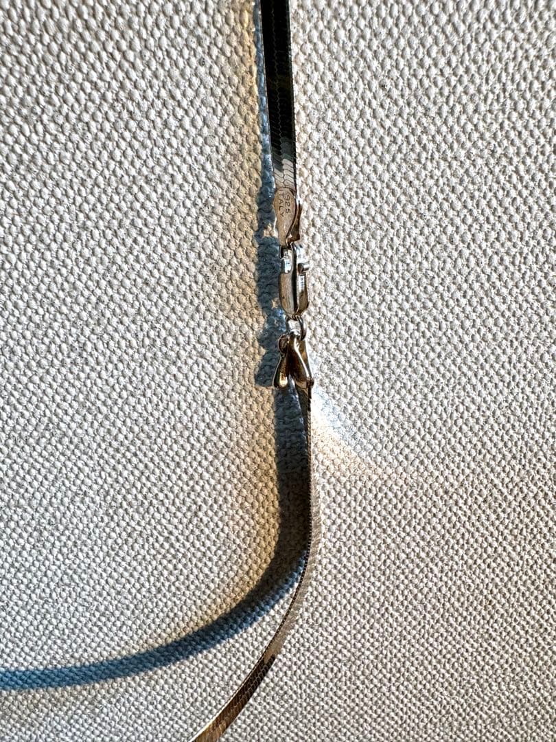 プリュイ　サピエンテメスチョーカー　シルバー