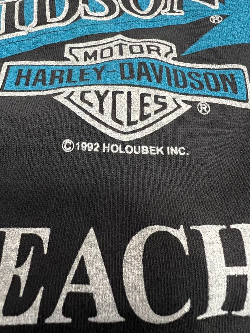 USA製 ハーレーダビッドソン ブルーフレイム 長袖 ロンT ブラック L