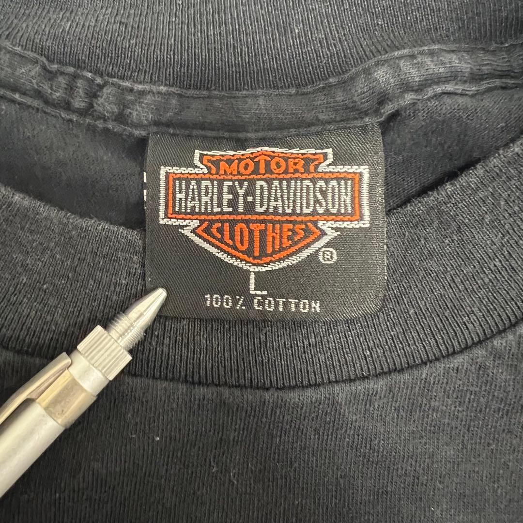 USA製 ハーレーダビッドソン ブルーフレイム 長袖 ロンT ブラック L