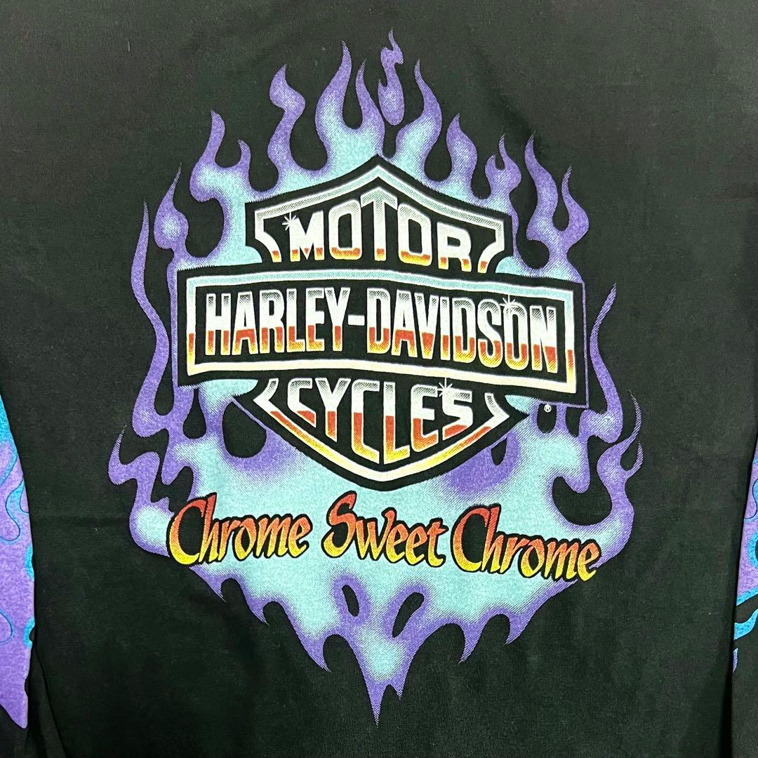 USA製 ハーレーダビッドソン ブルーフレイム 長袖 ロンT ブラック L