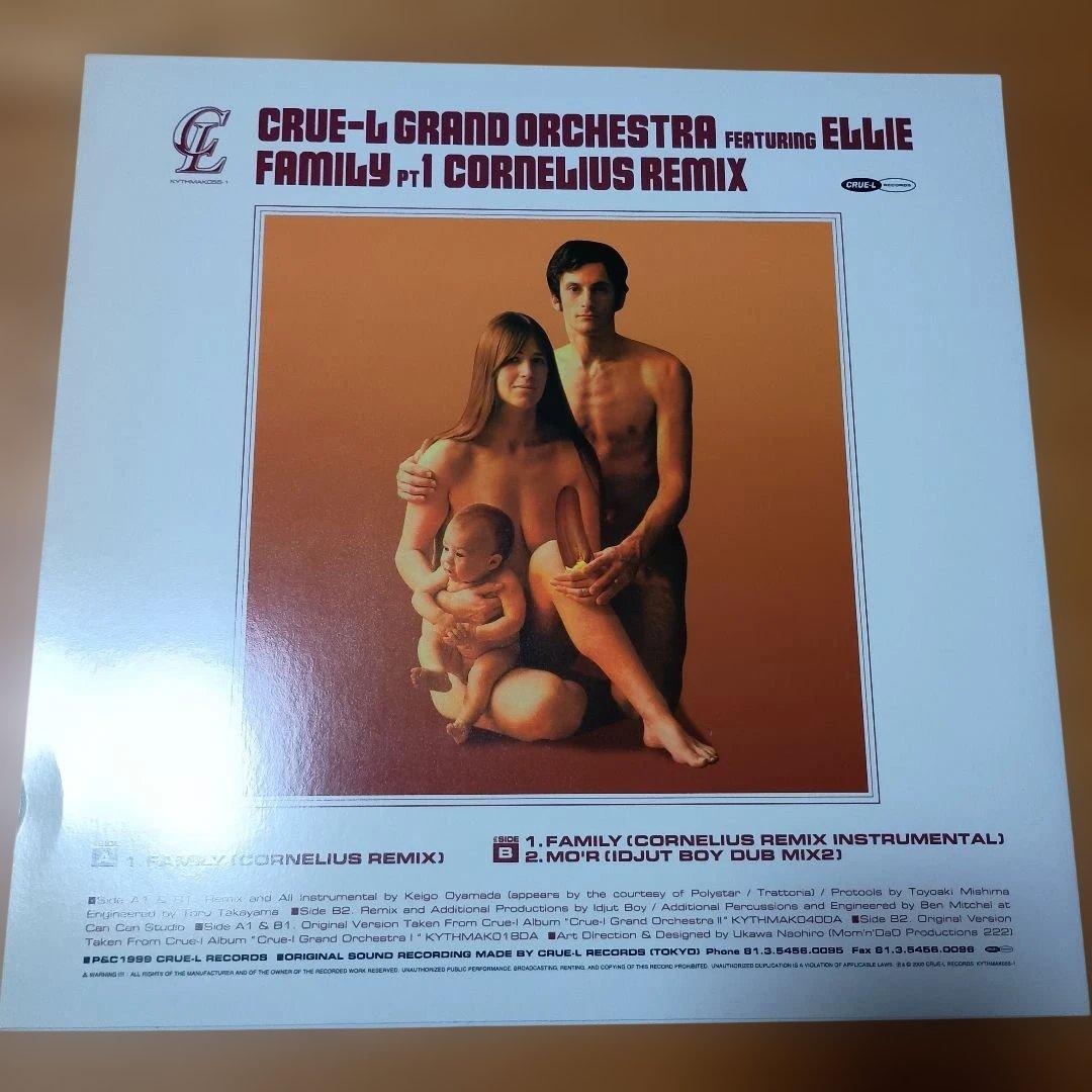 レコード２枚組　クルーエル　グランド　オーケストラ　コーネリアス