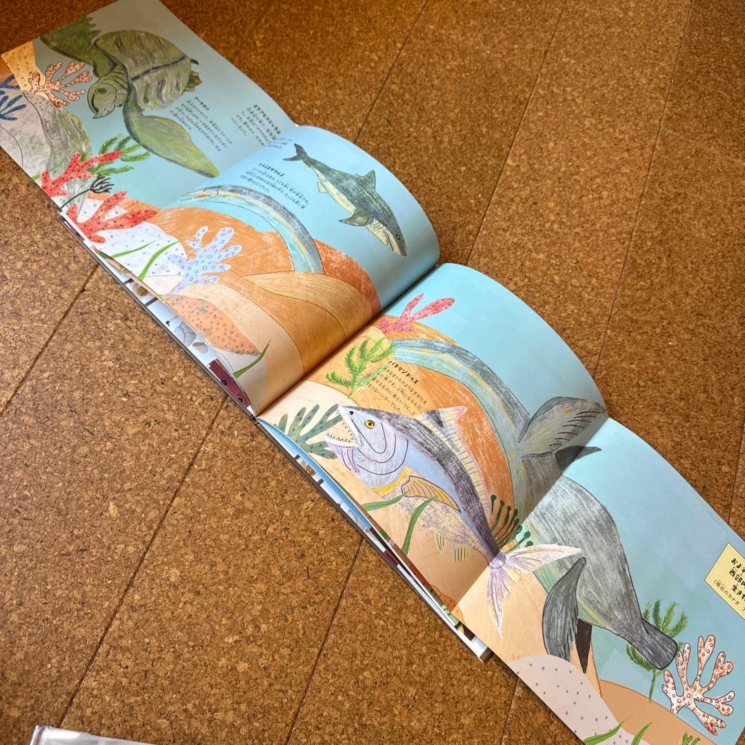 学びのある絵本14冊セット