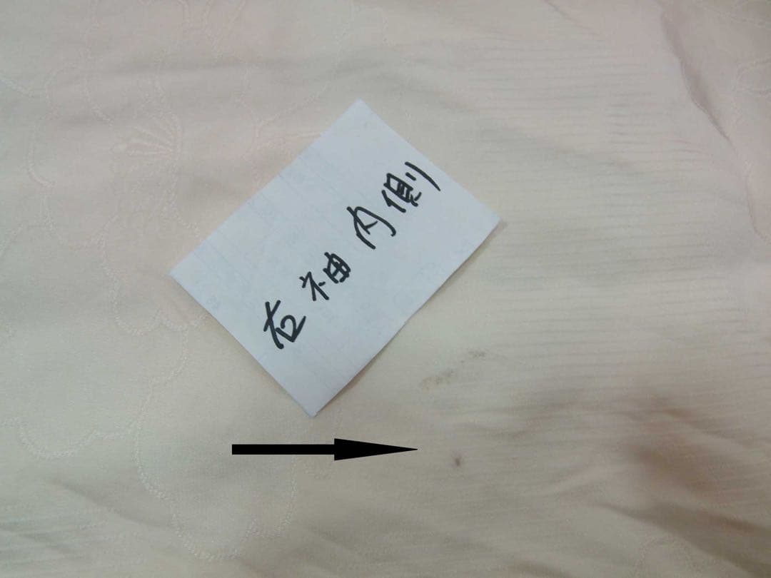 豪華振袖3点セット＊染め分け古典柄 金駒刺繍 沙耶型地紋 長襦袢・袋帯 晴れ着