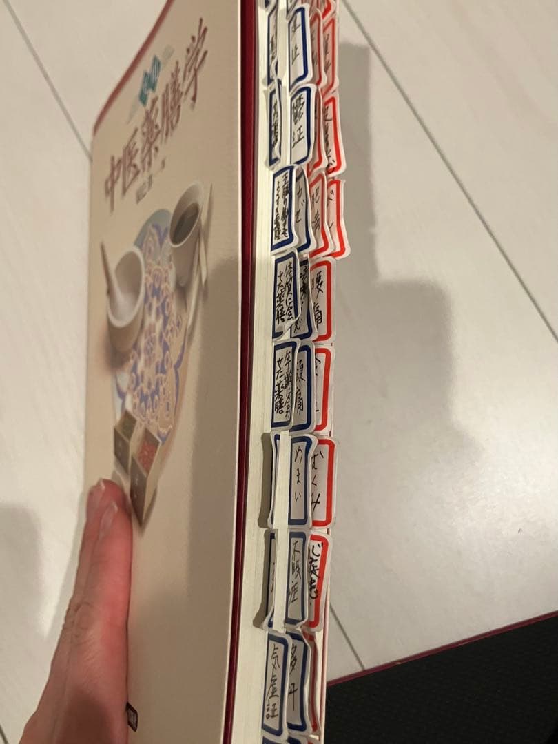 【辰巳　洋】中医薬膳学セット6冊