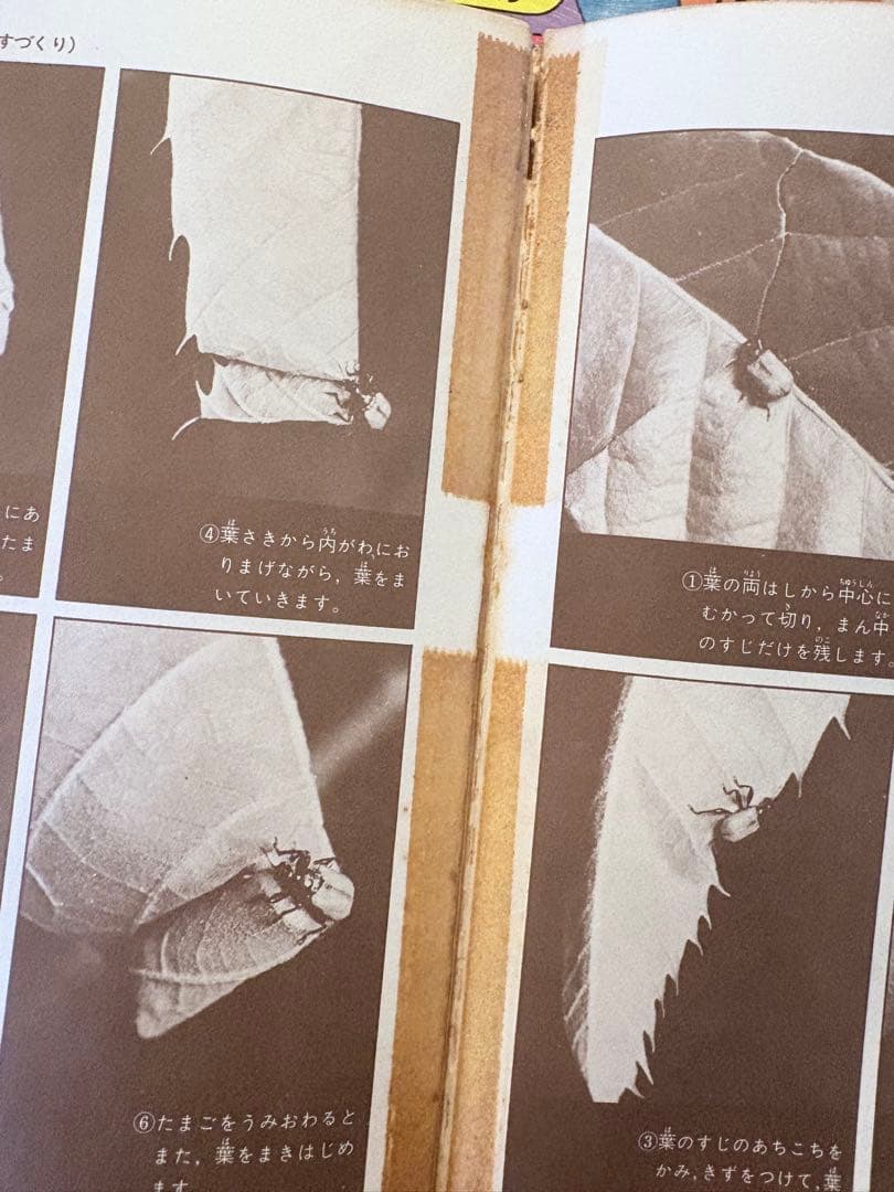 チー　旧版学研ひみつシリーズ 20冊