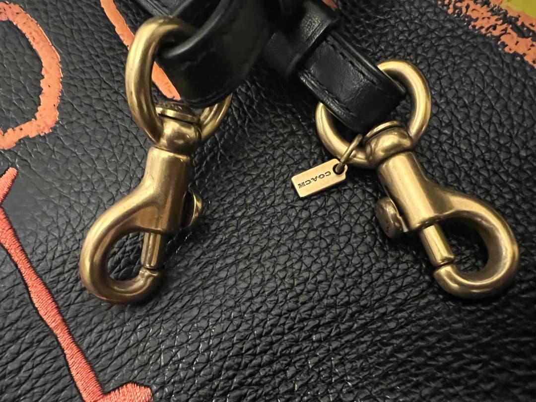 ⭐️【希少・限定品・美品】コーチとバスキアの限定コラボ ショルダーバッグ