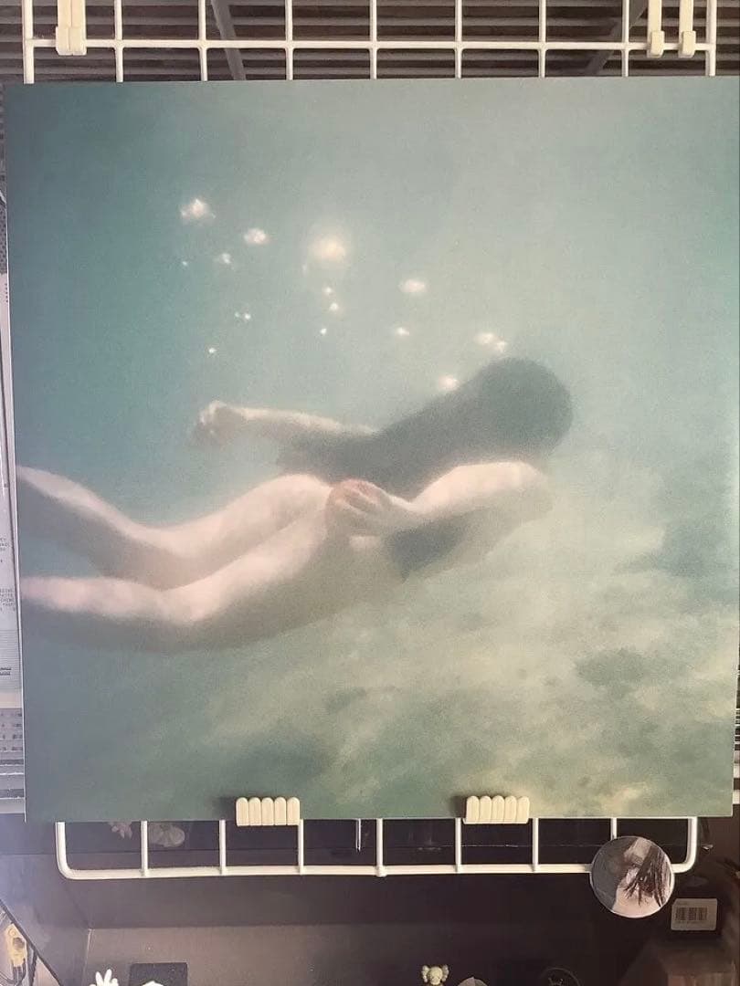 m*o様 青葉市子 アダンの風 lp 海外版