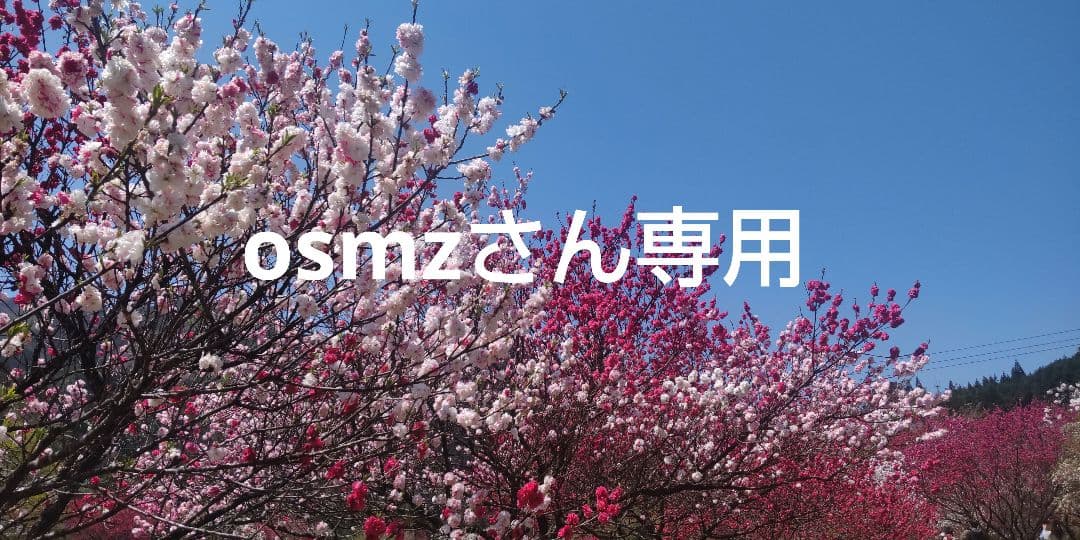 新品 1445/448 時計 オメガ金属ベルト ステンレス ブレスレット 美品