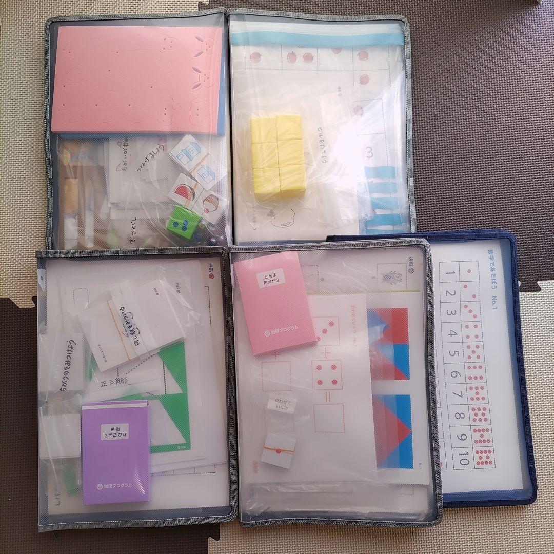 知研プログラム 幼児教育　D-4、T-5～T-8、Q-9～Q-11