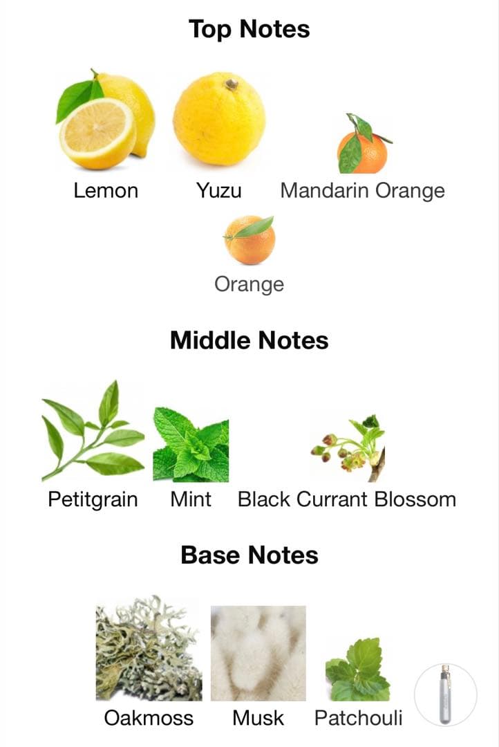 【最終価格】アエノータス EDP (17.5mL) [ピュアディスタンス]