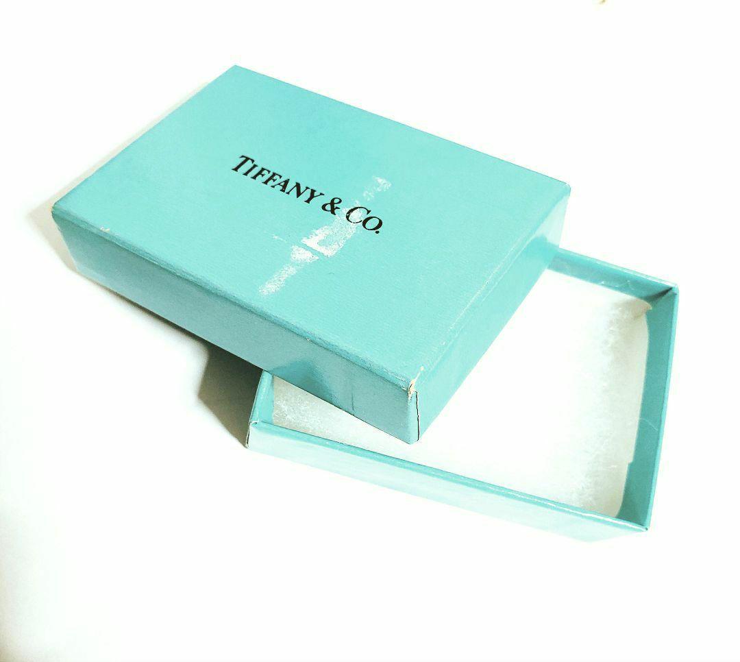 Tiffany & co.ティファニー タイピン シルバー