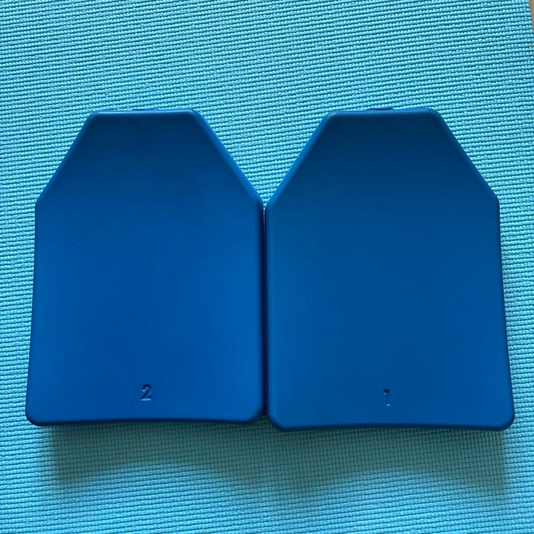 TEAM WENDY トレーニング用プレート 2枚セット