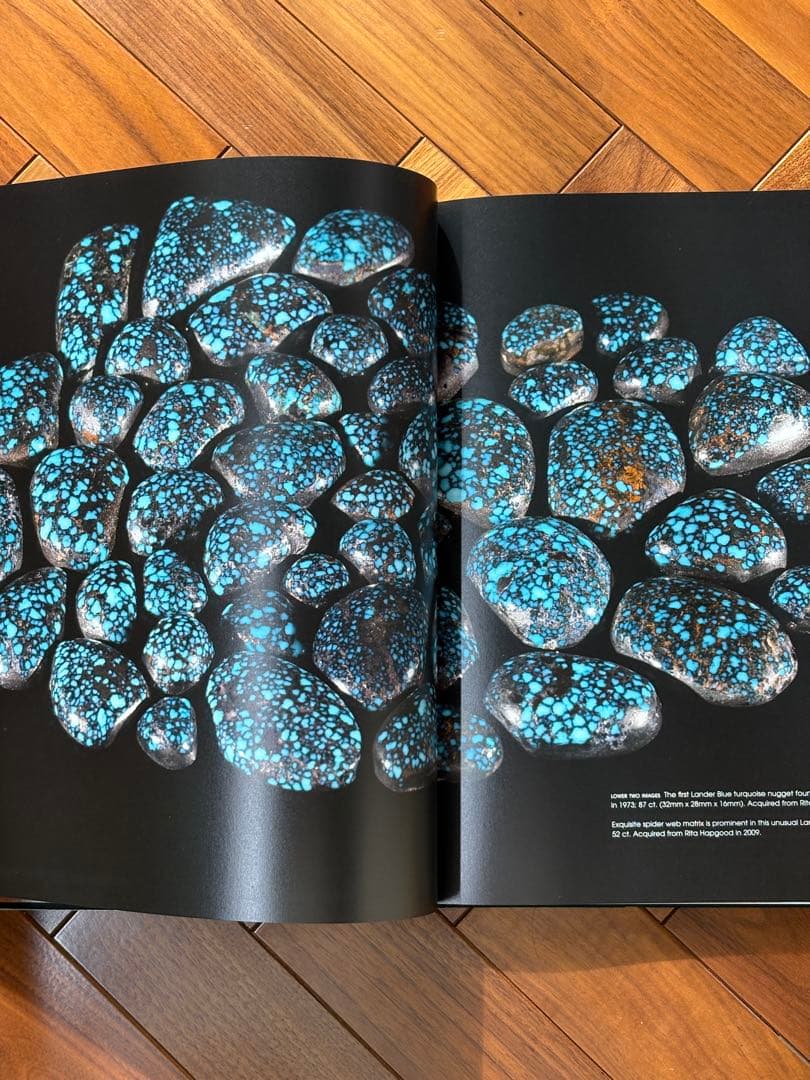 Jewel of the Southwest Turquoise 本　ターコイズ