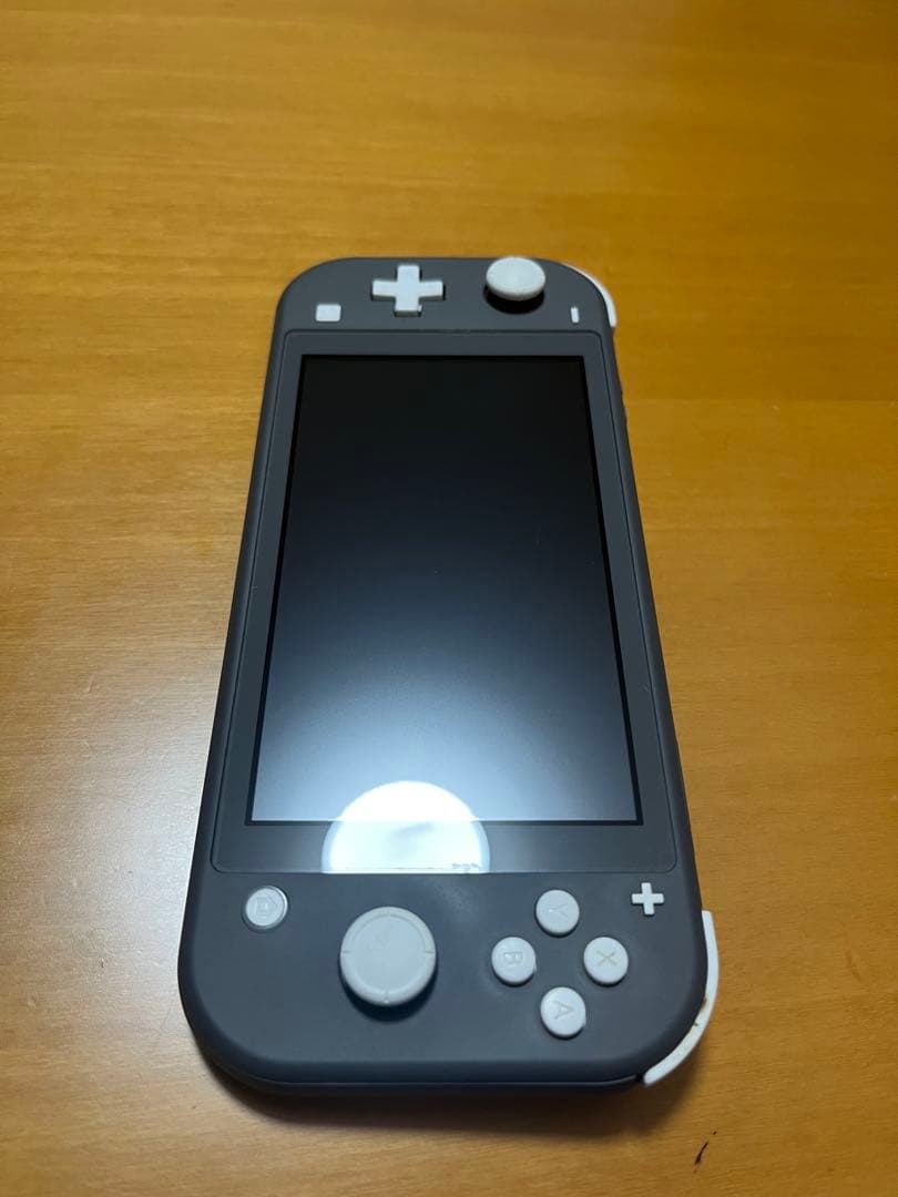 「Switch Lite グレー 本体 モンハン充電器ケース付」