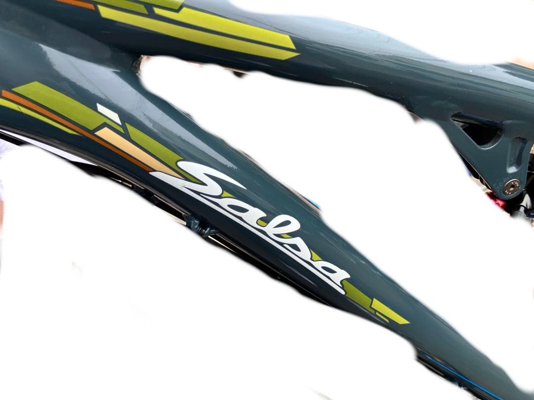 9月中旬まで　手渡し限定salsa horsethief 自転車本体　最終値下げ