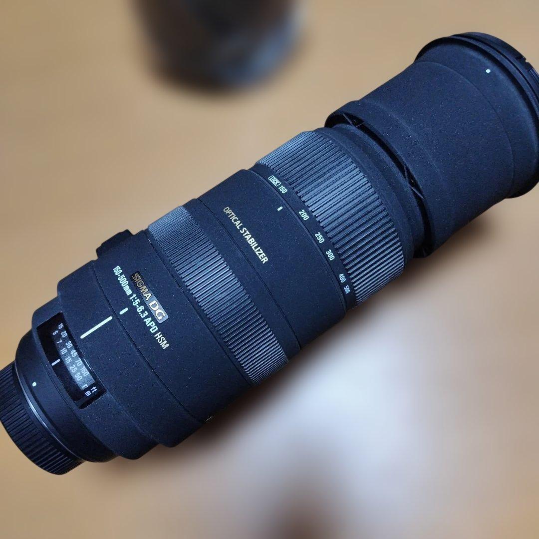 シグマ ニコン 望遠レンズ 150-500 1:5-6.3 APO HSM