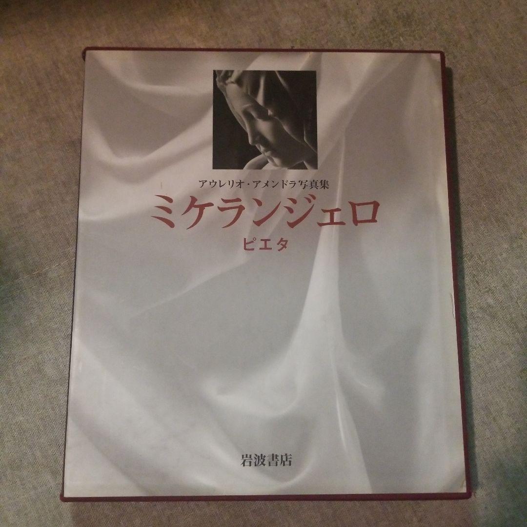 ミケランジェロ―ピエタ アウレリオ・アメンドラ写真集