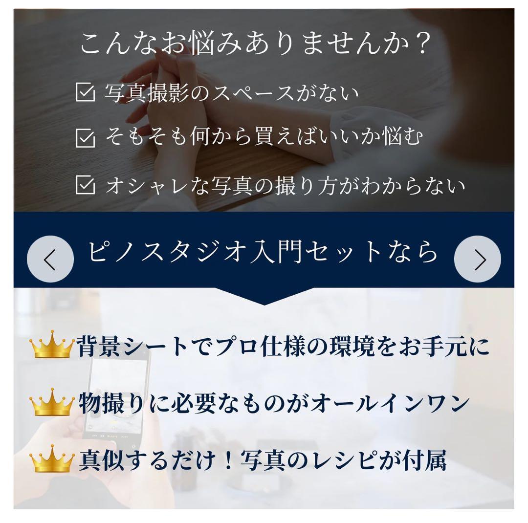 【ニコニコたい君】Pinosutudio 初心者入門セット Lサイズ