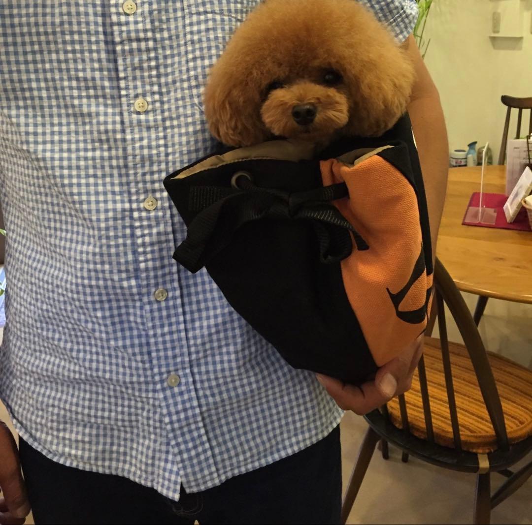 黒のファー付きキャリーバッグ