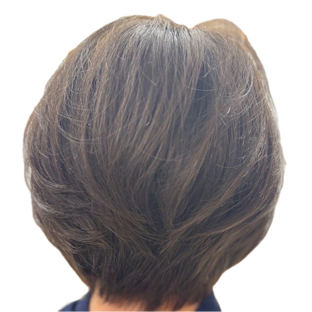 3Dウィッグ 百合子ウィッグレミー人毛100% サイズＬ