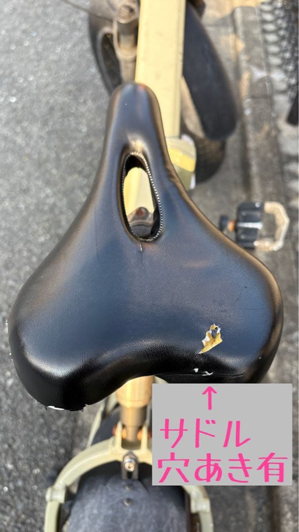 MATE X 250 電動 自転車 デザートストーム